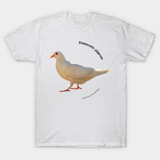 Domestic pigeon walking pin black text T-Shirt